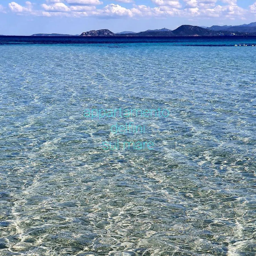 Apartmán Appartamento Delfini Sul Mare Golfo Aranci Itálie
