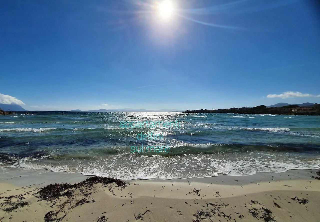 Apartment Appartamento Delfini Sul Mare Golfo Aranci Italien